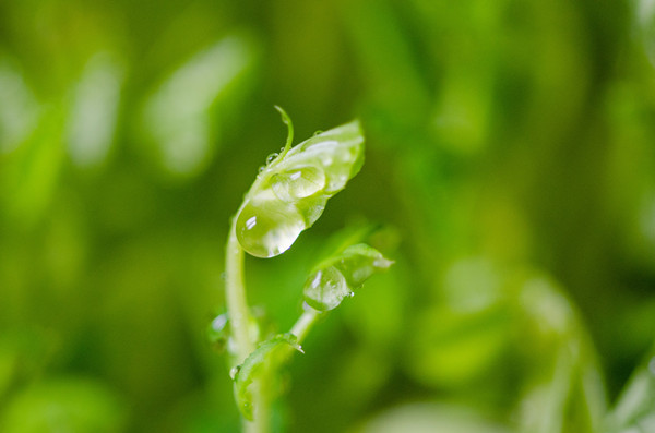 结核性胸膜炎怎么治疗？如何锻炼