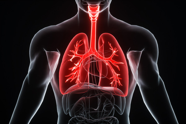 肺结核怎么治和预防