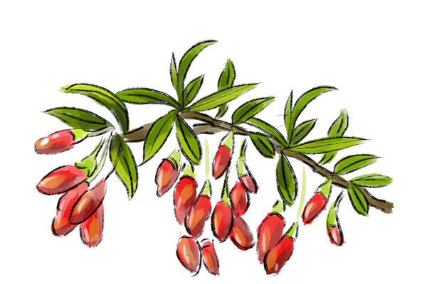 骨结核中医治疗