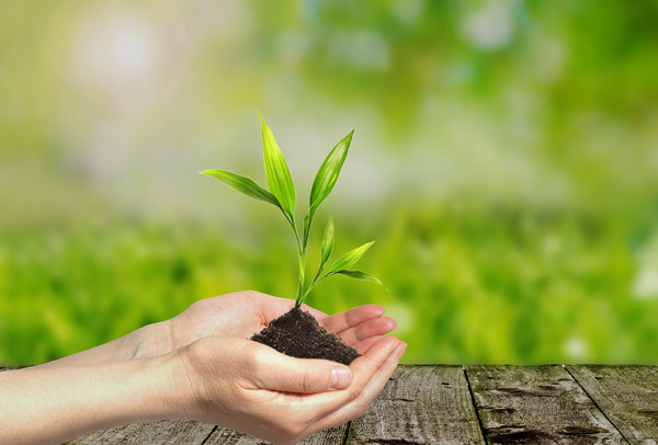 淋巴结核用什么方法能治好 淋巴结核用什么方法能治好