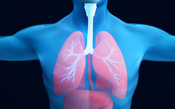 肺结核能治好吗